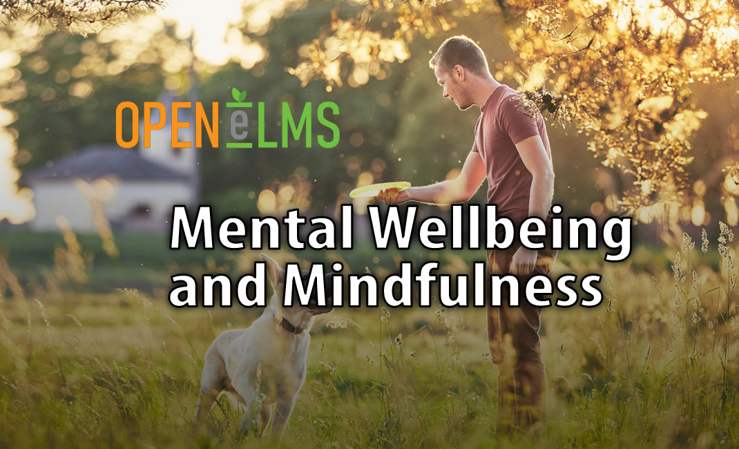 Mental Wellbeing and Mindfulness