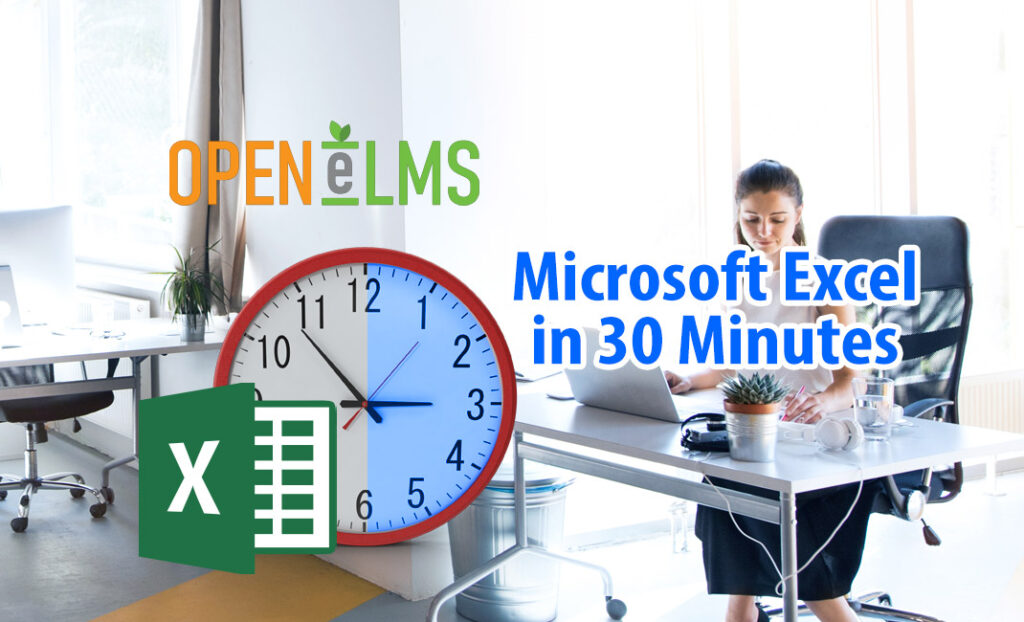 Microsoft Excel in 30 Minutes