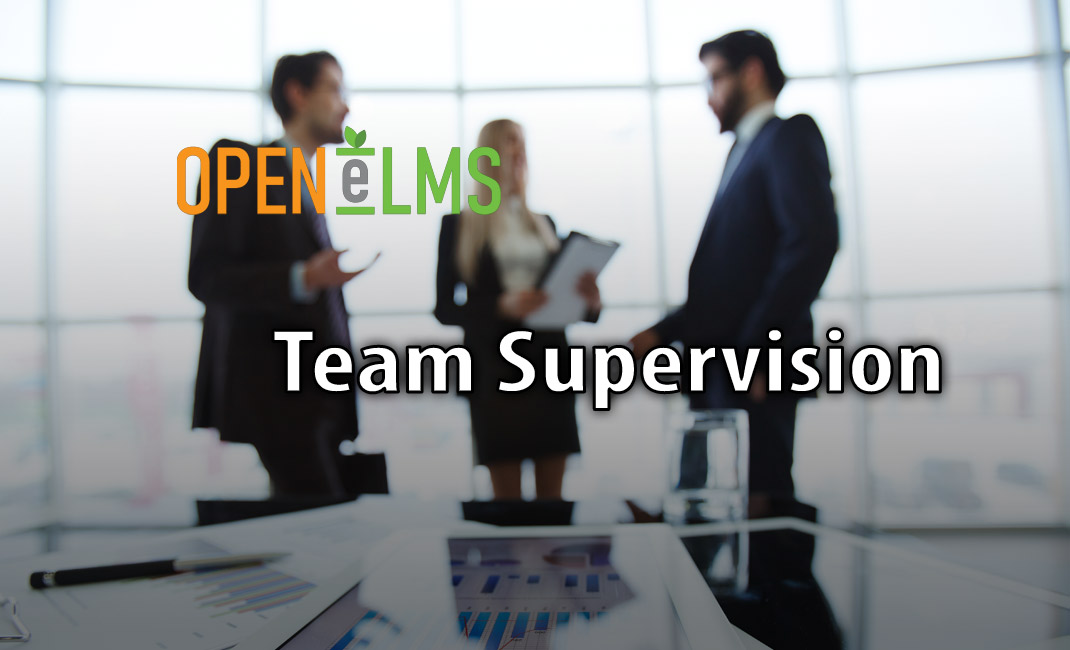 Team Supervision