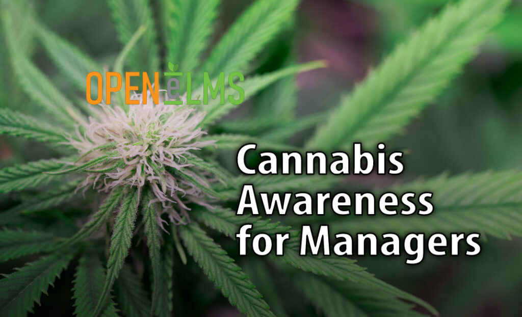 Cannabis Awareness for Managers