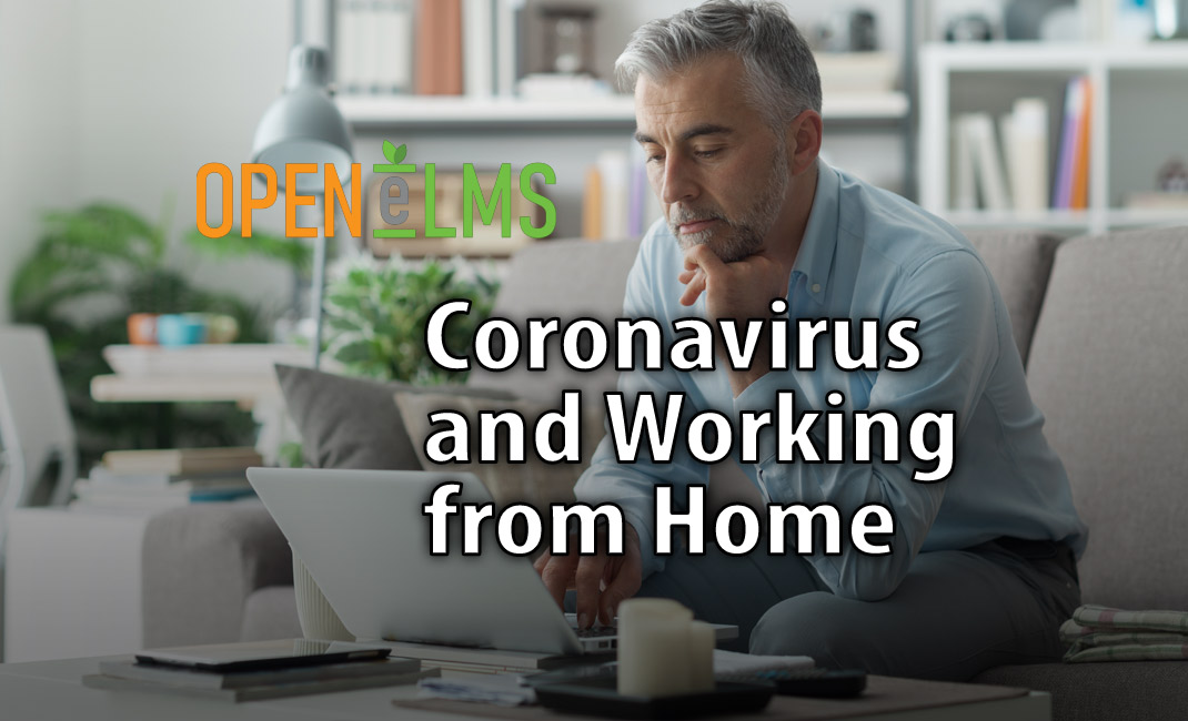 Coronavirus and Working from Home