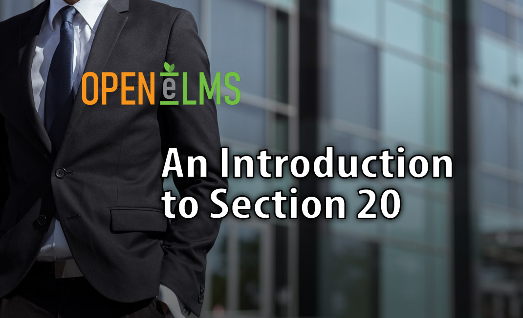 An Introduction to Section 20