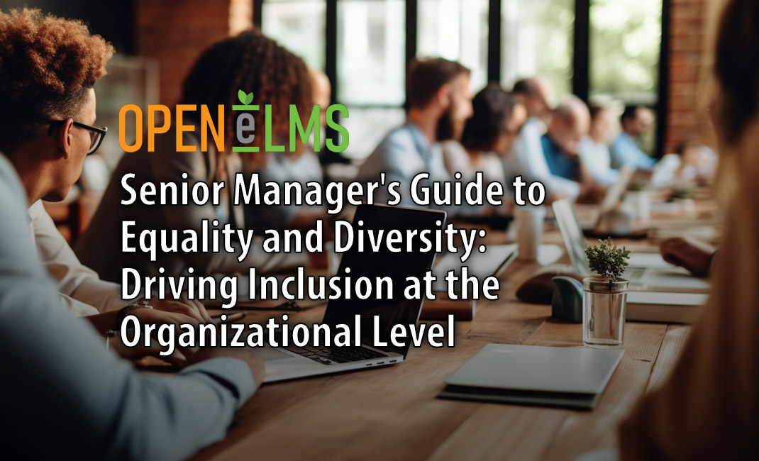 Senior Manager's Guide to Equality and Diversity: Driving Inclusion at the Organizational Level