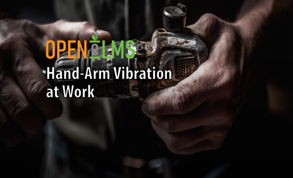 Hand-Arm Vibration at Work