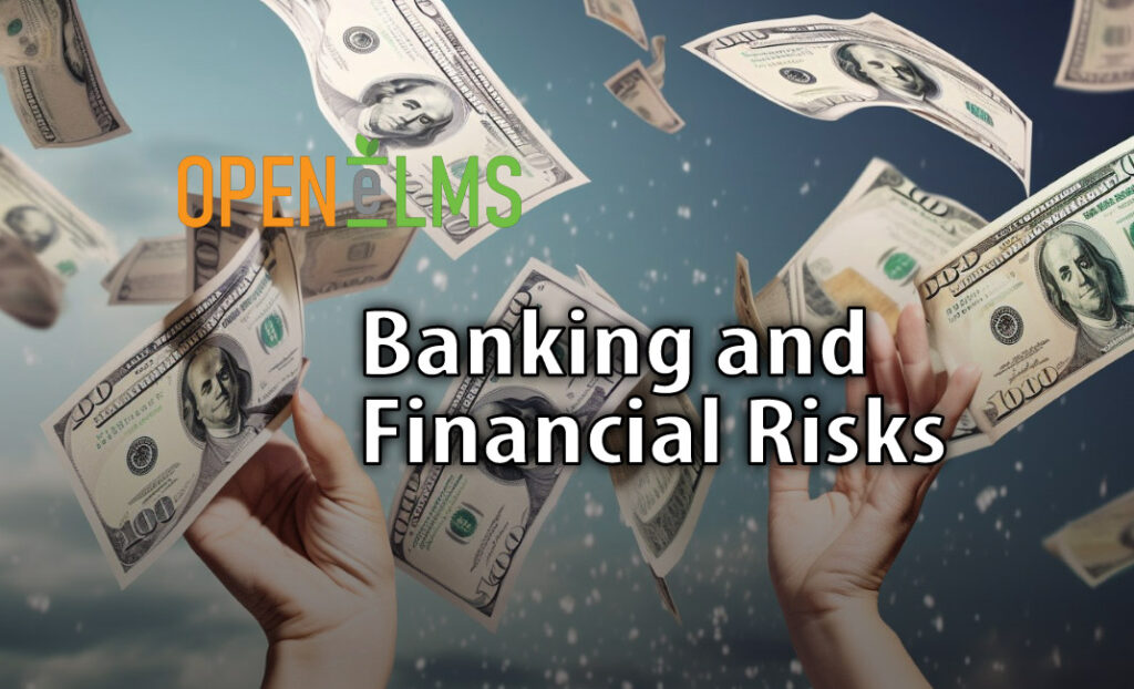 Banking and Financial Risks