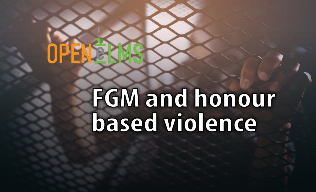 FGM and honour based violence