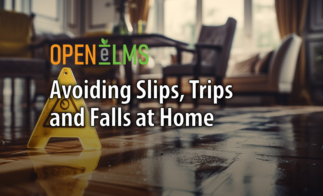 Avoiding Slips Trips and Falls at Home